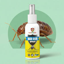 Bed Bug Treatment in Gurgaon