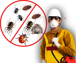 General Pest Control in Gurgaon