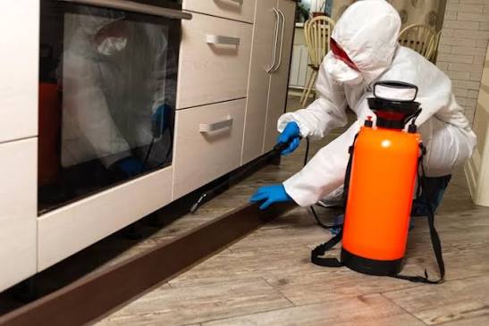 Professional pest control service in Gurgaon