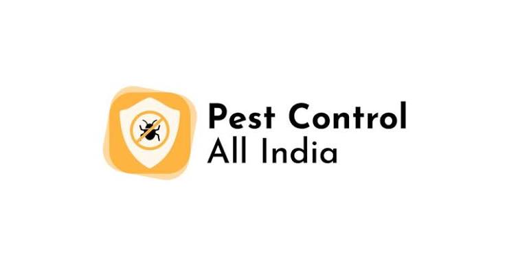 Bed bug treatment by pest control experts in Gurgaon
