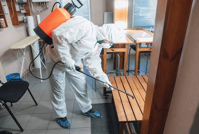 Termite Control Service in Sector 61, Gurgaon